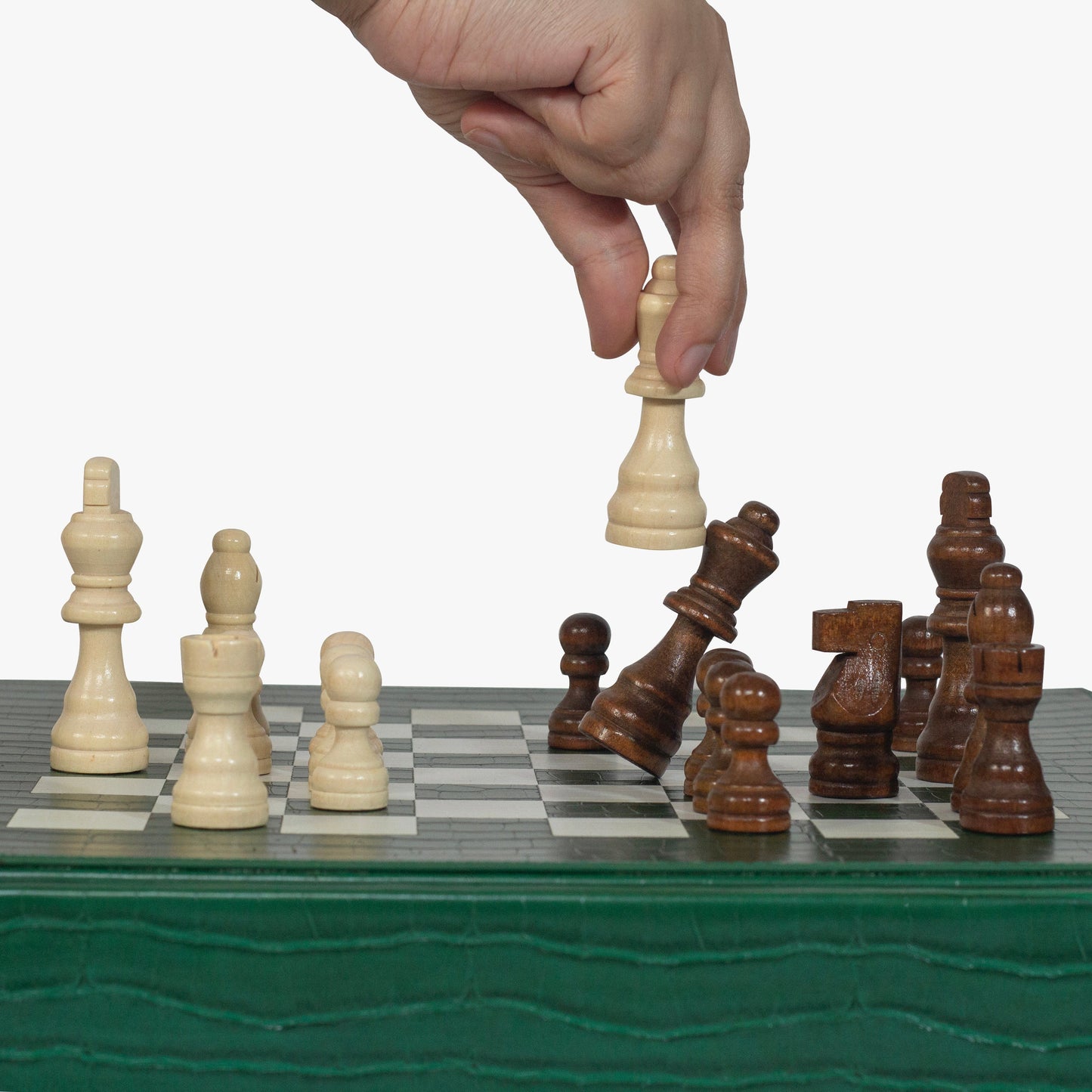 Jeu d'Échecs Vert Forêt Alligator